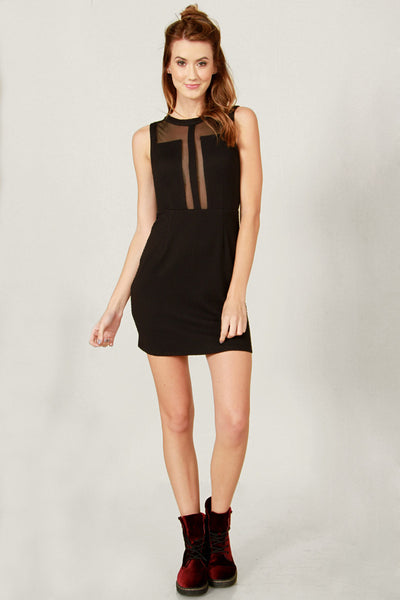See Through Me Dress