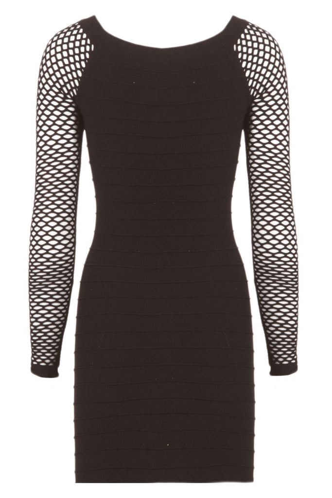 Mesh Long Sleeve Seamless Dress